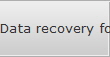 Data recovery for Reynolds data